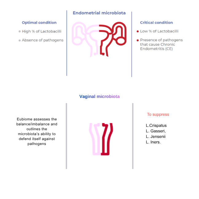 internal-environment-test-for-fertility
