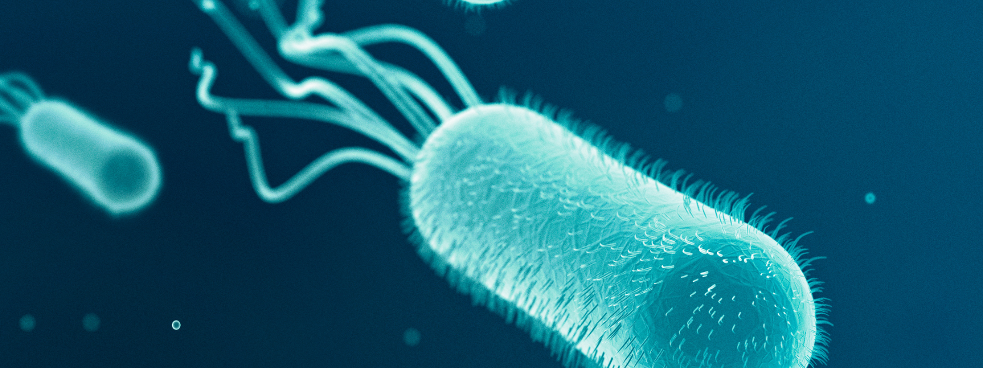 ecoli-_-listeria