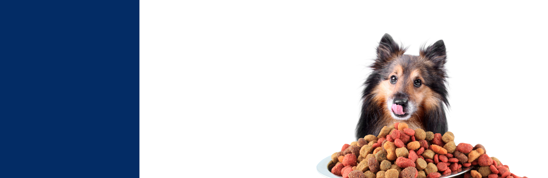 sensory-dog-food-banner