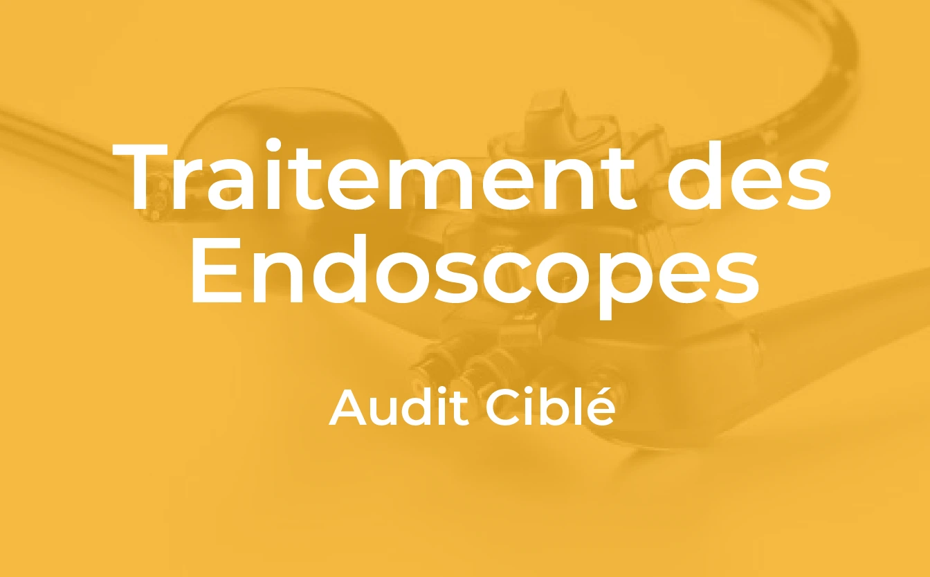 endoscopie_audit_1