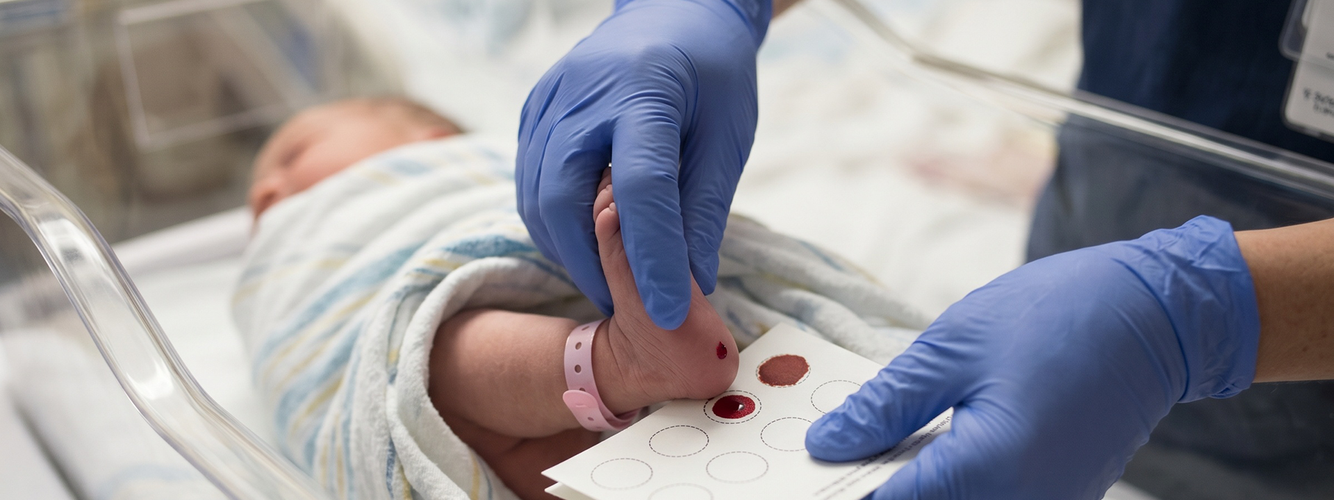 paternity-header
