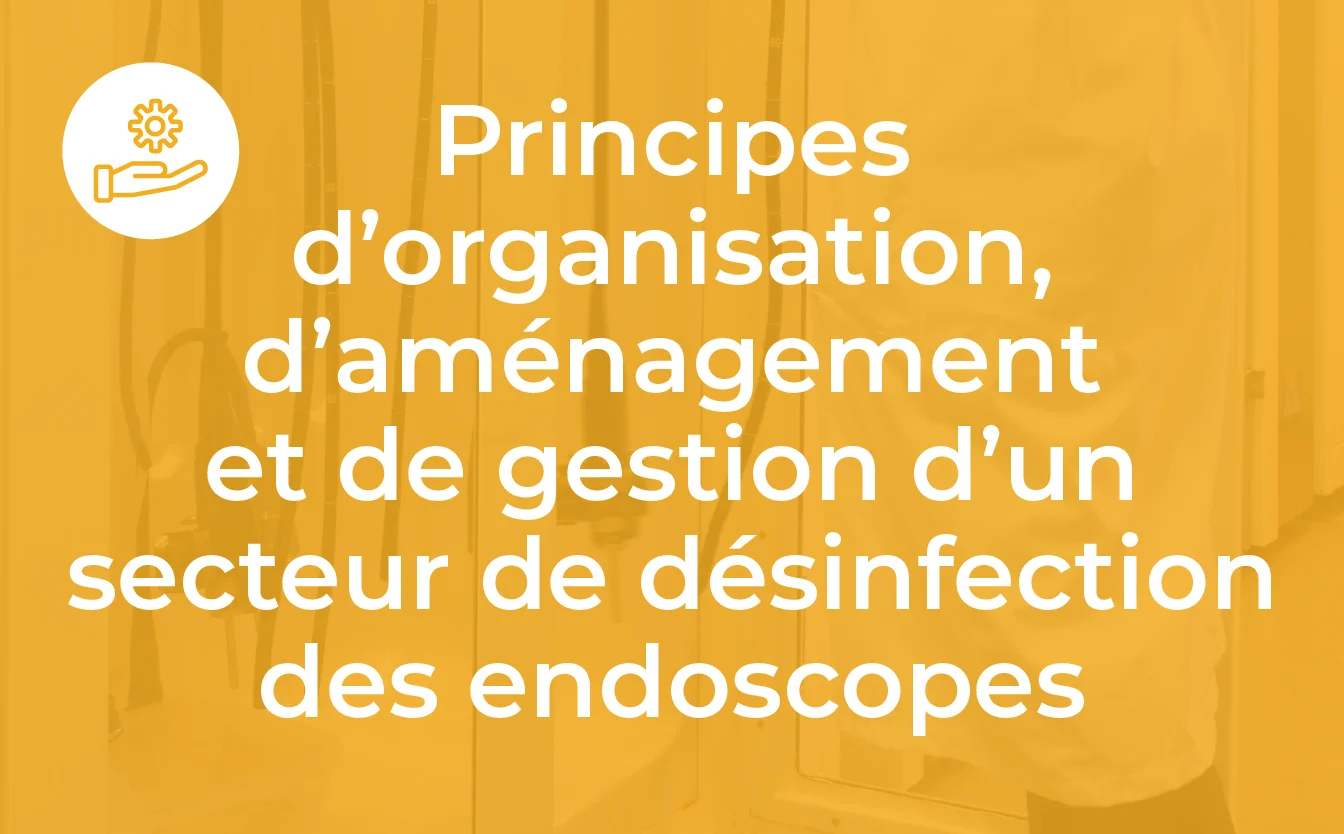 endoscopie_formation_10