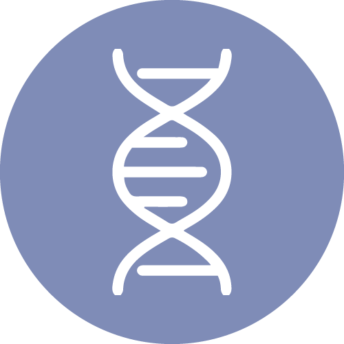 dna-2-copy-2