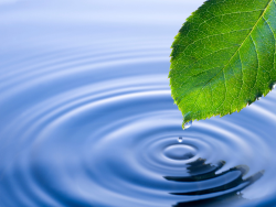 eurofins-water-hygiene-testing