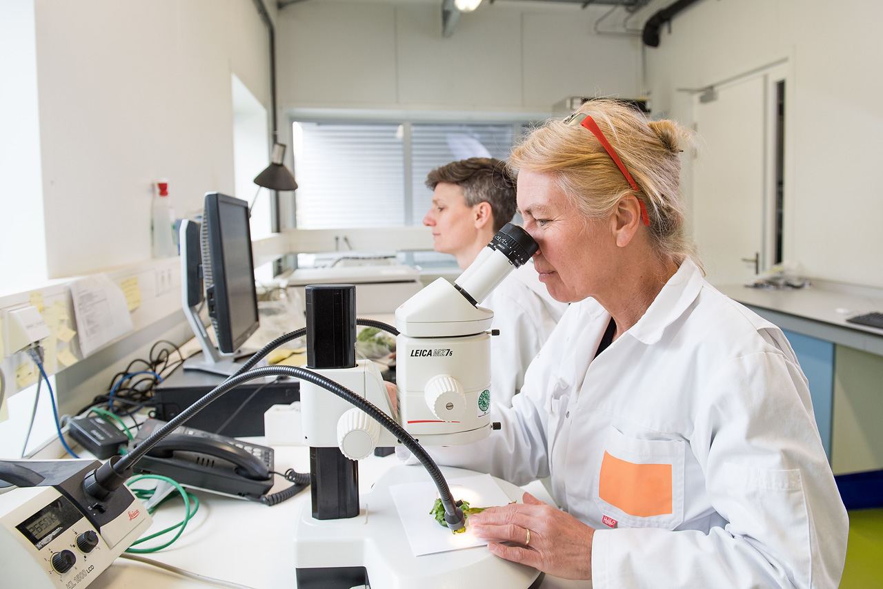 plantdoctors-trudie-ester