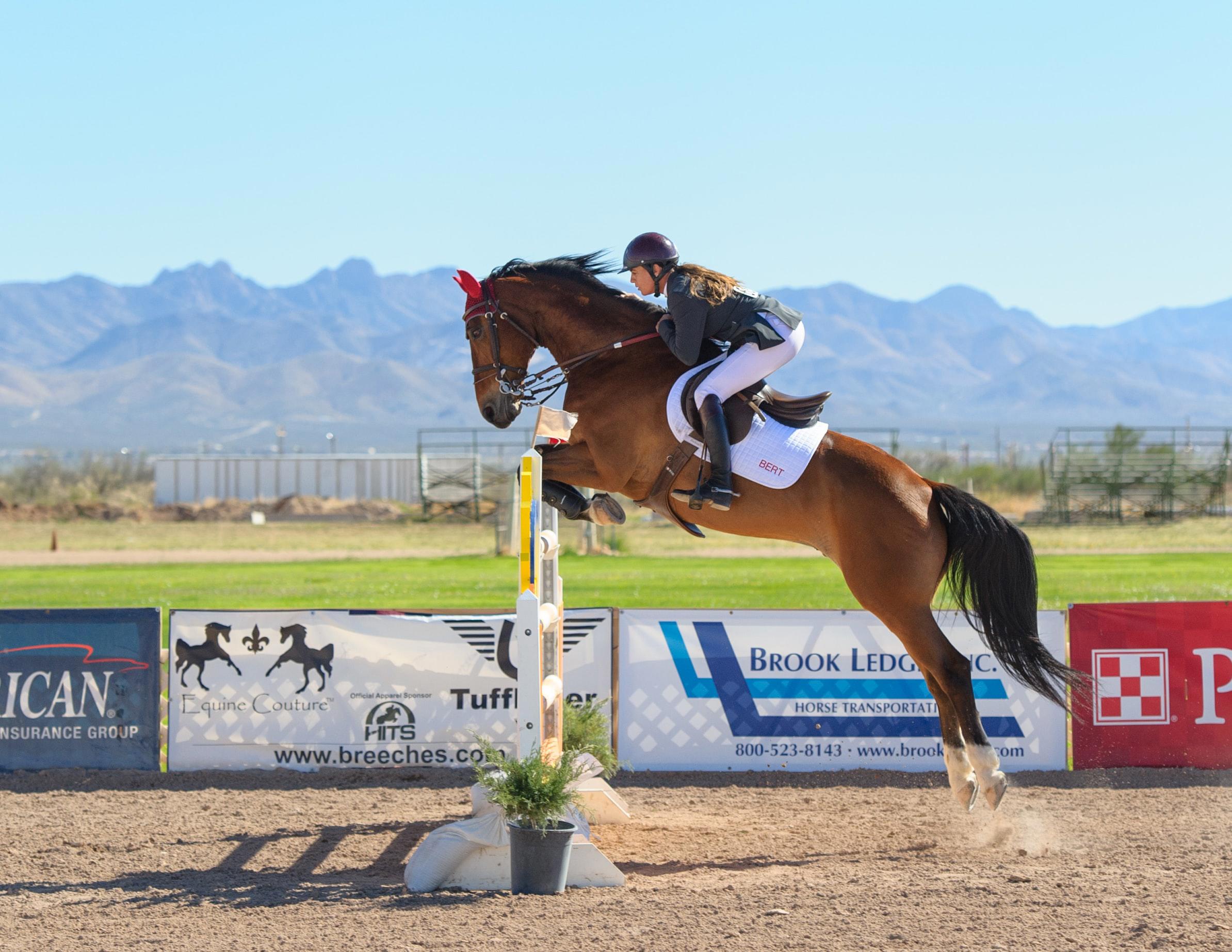 agro-horse-jumping-lady-rider