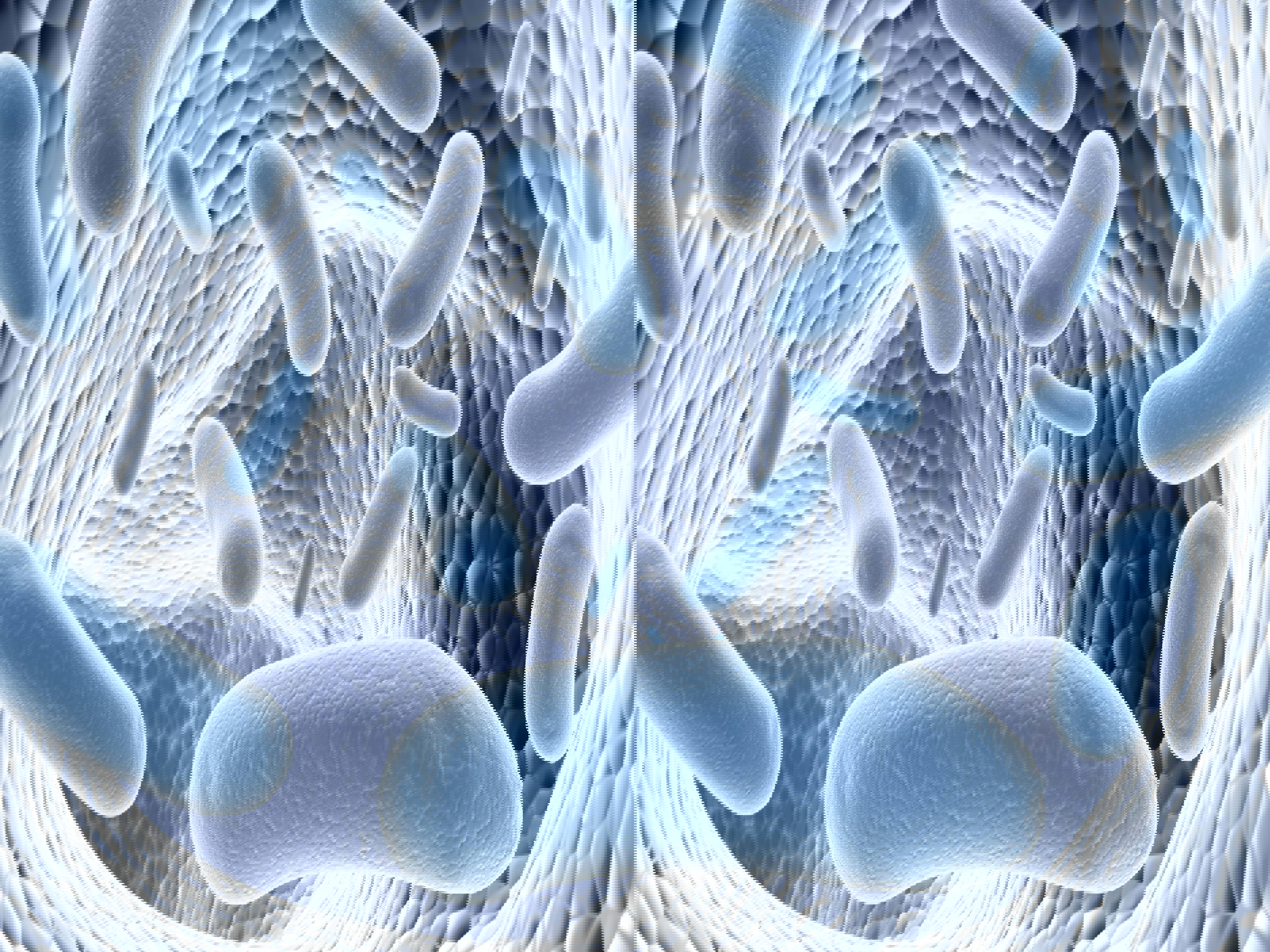 Image microscopique représentant des bactéries en forme de bâtonnets évoluant dans un environnement cellulaire complexe. Cette visualisation illustre les interactions entre micro-organismes vivants et matrices biologiques, essentielles dans le développement et l’analyse des produits biothérapeutiques vivants (Live Biotherapeutic Products). Eurofins BioPharma Product Testing utilise ce type d’imagerie pour caractériser le microbiome, évaluer la viabilité bactérienne, et garantir la qualité