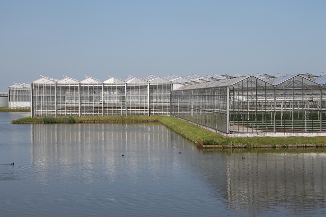 agro-greenhouses-pond