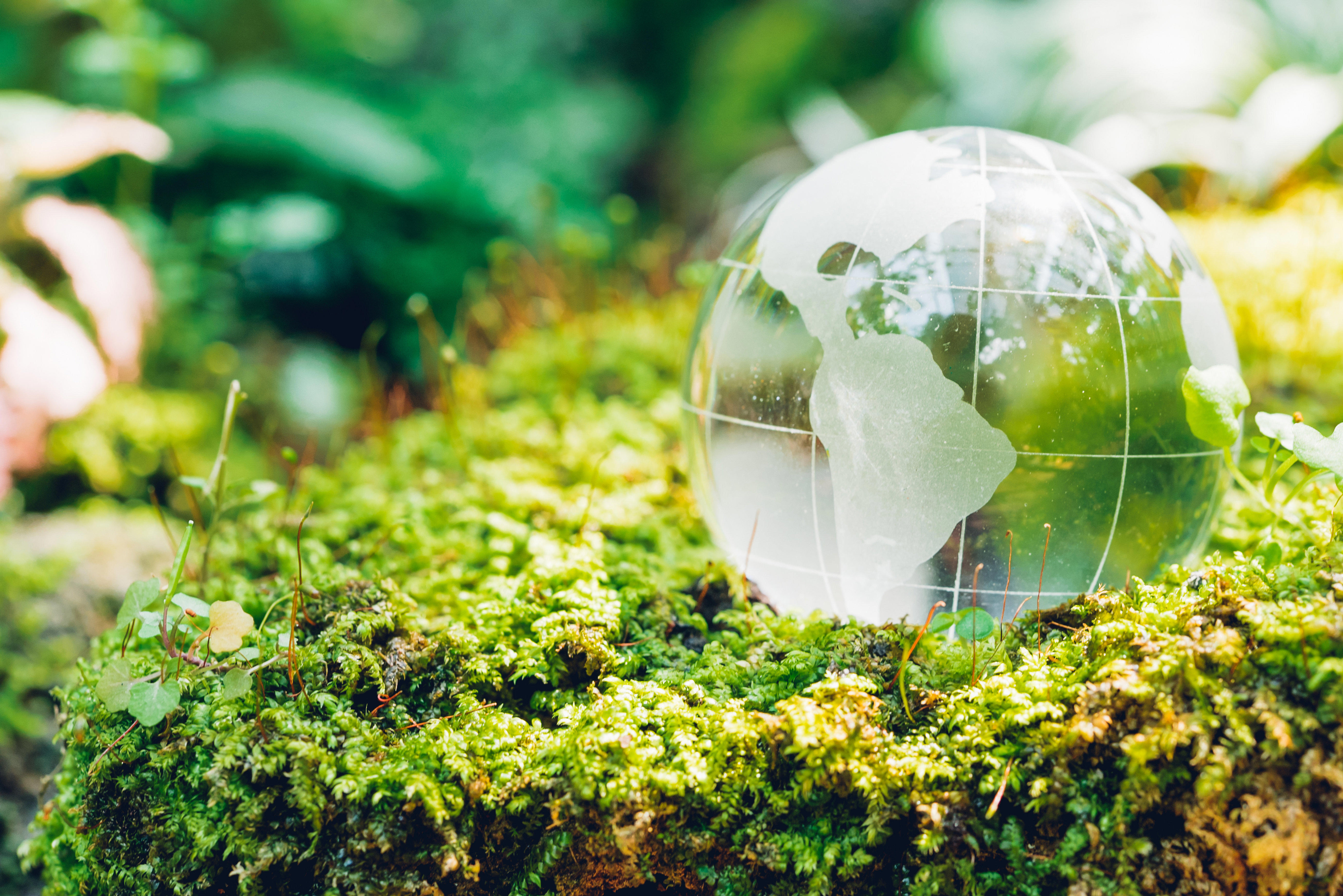 globe-glass-in-grass-forest-on-nature-background_5520-x-3684-px-1