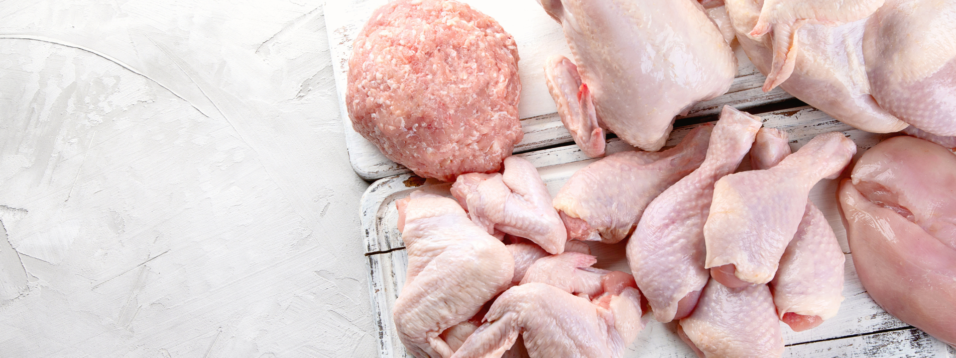 bannière-campylobacter-2