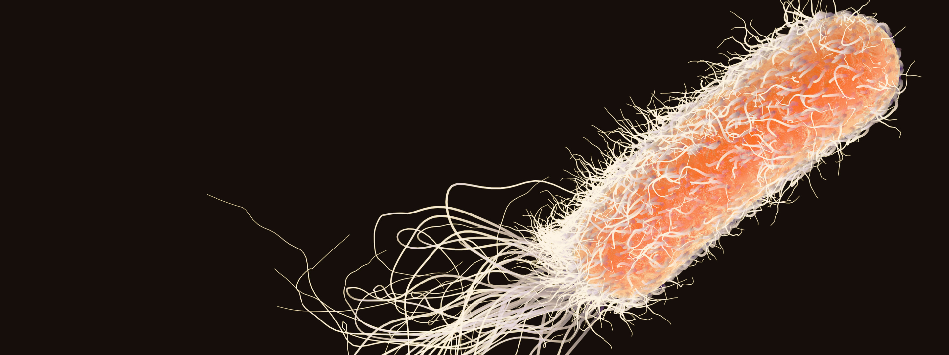 pseudomonas-species-testing-banner