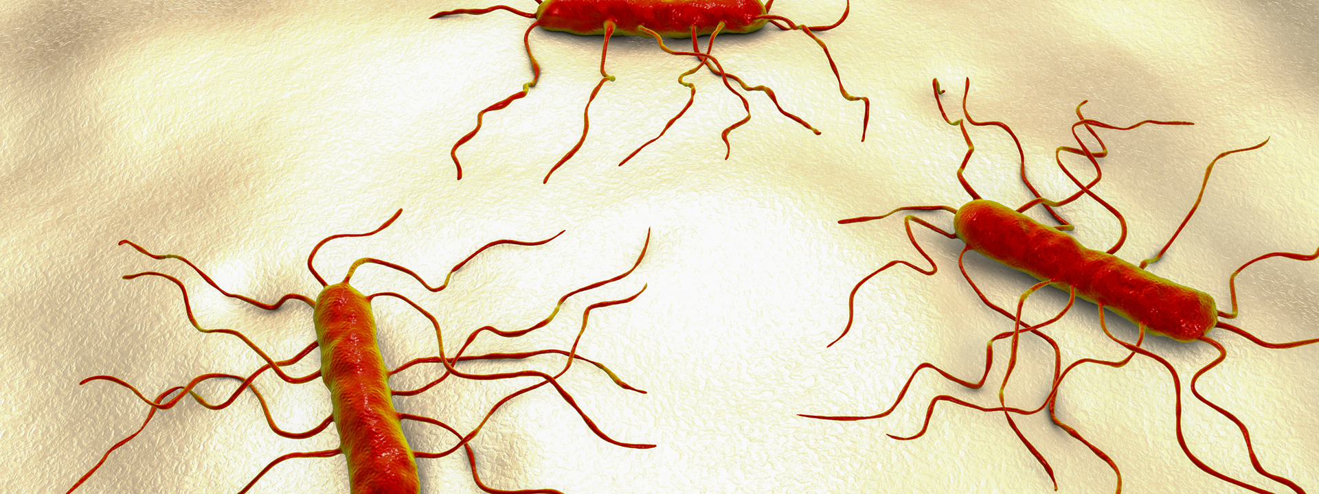 listeria_1920x720