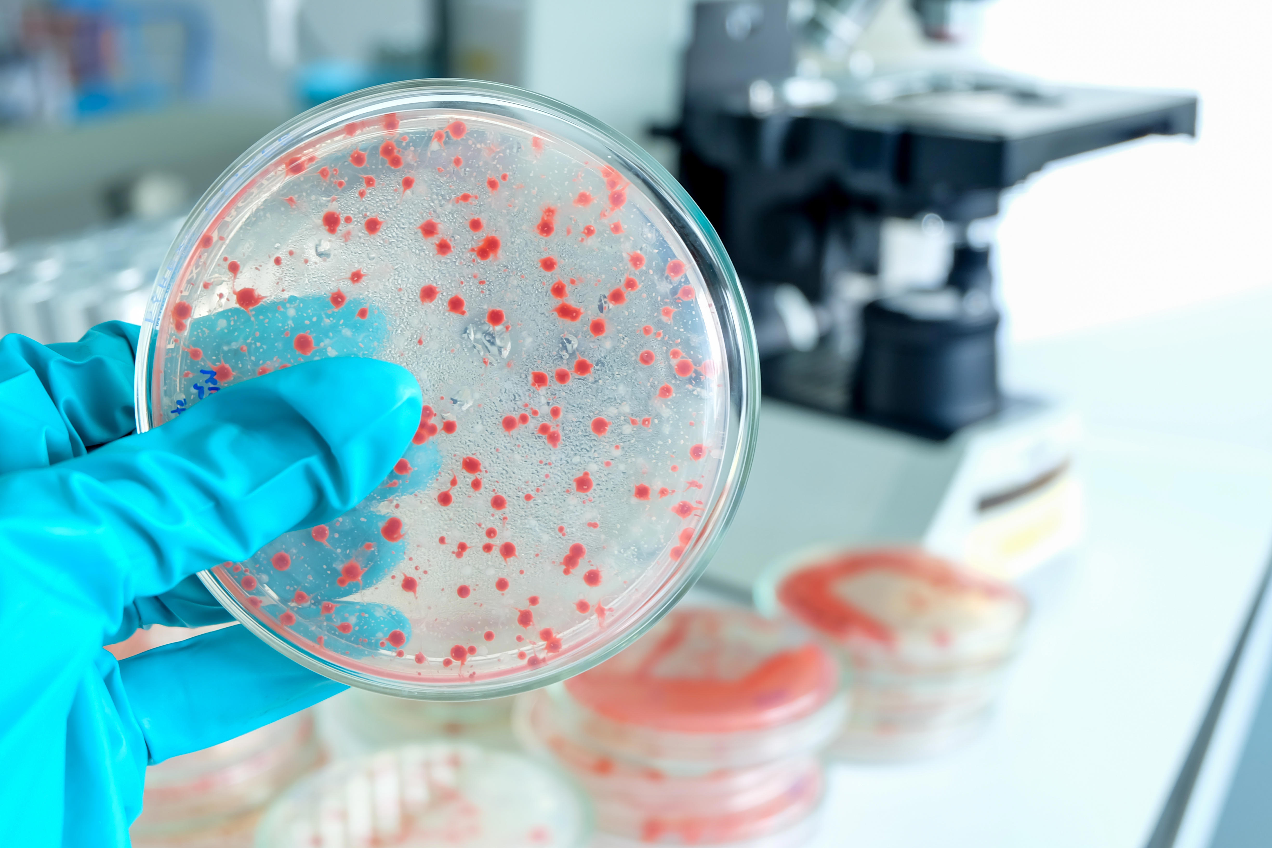 microbiology-laboratory-test-xxl_4896x3264px