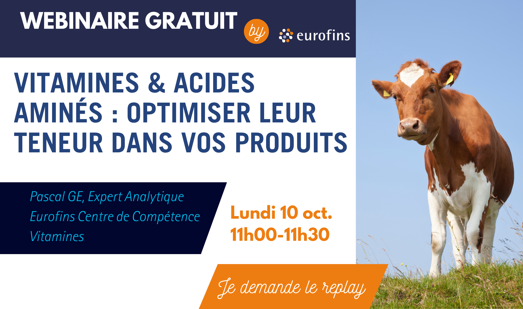 webinar-vitamines-et-acides-aminés