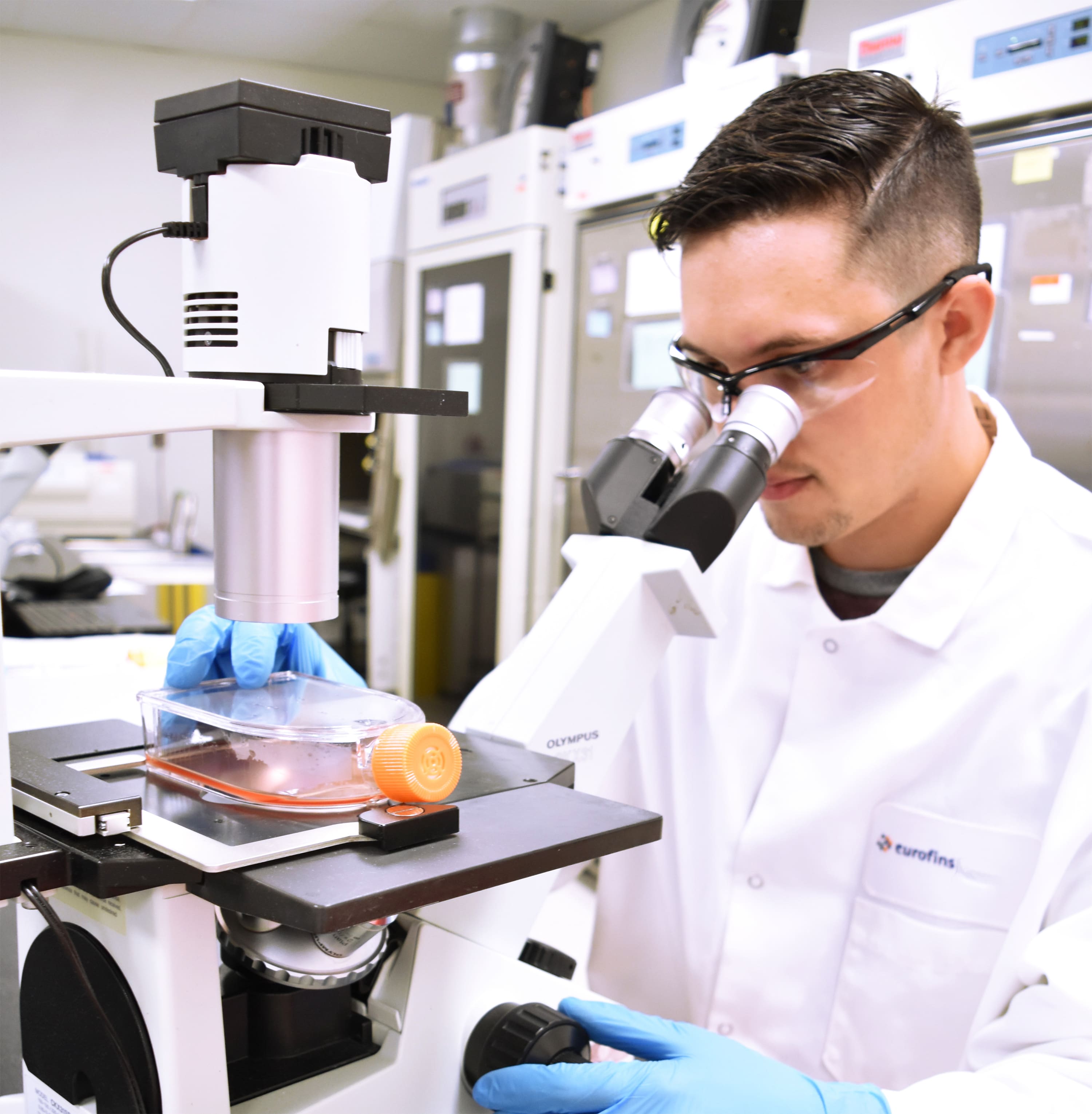 Technicien de laboratoire chez Eurofins BioPharma Product Testing réalisant des tests rapides sur produits bruts non traités à l’aide d’un microscope, illustrant les services d’analyse microbiologique, de contrôle qualité des matières premières biopharmaceutiques, et de conformité aux normes BPF/GMP.