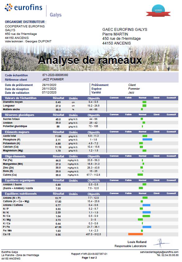 capture-décran-rameaux