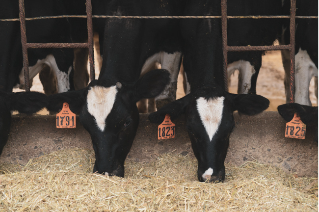 nutrition-animale-conformité