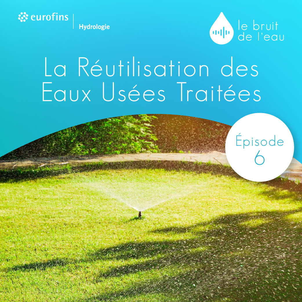 miniature_podcast_ep6_reut