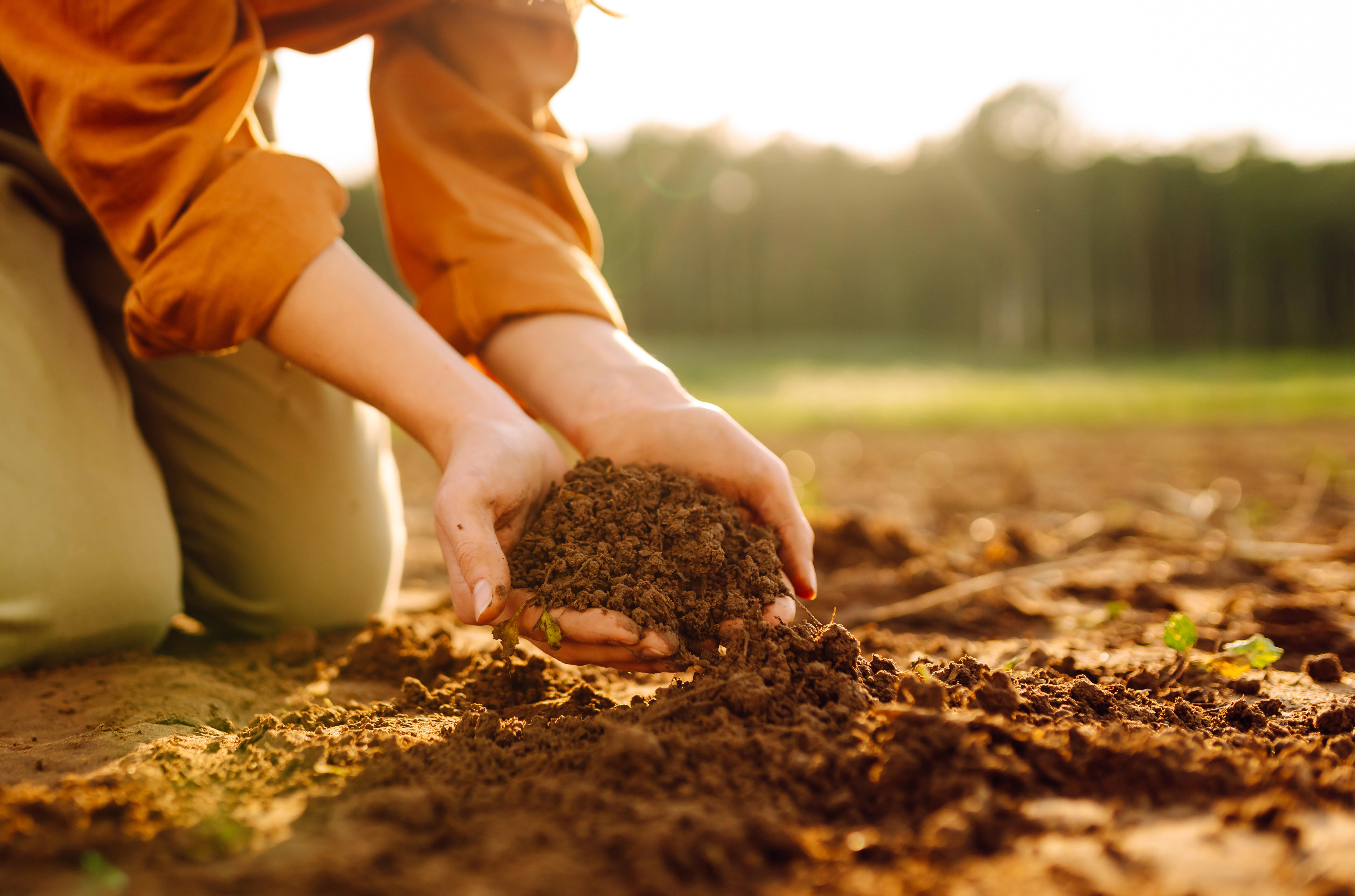 kneeling-in-the-warm-sunlight-a-dedicated-gardener-sifts-through-rich-soil_9958-x-6639-px (1)