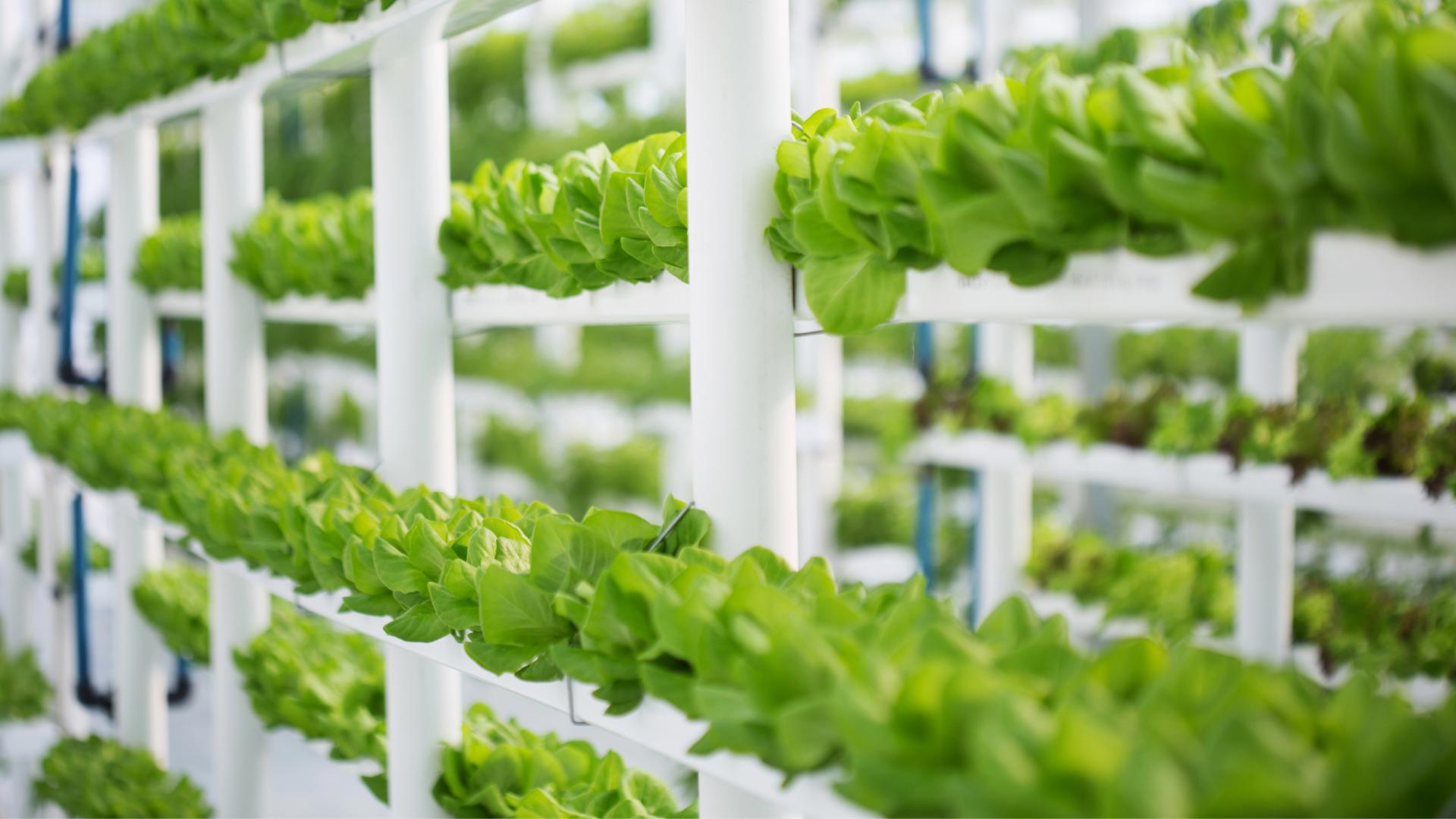 feed-agriculture-thumbnail