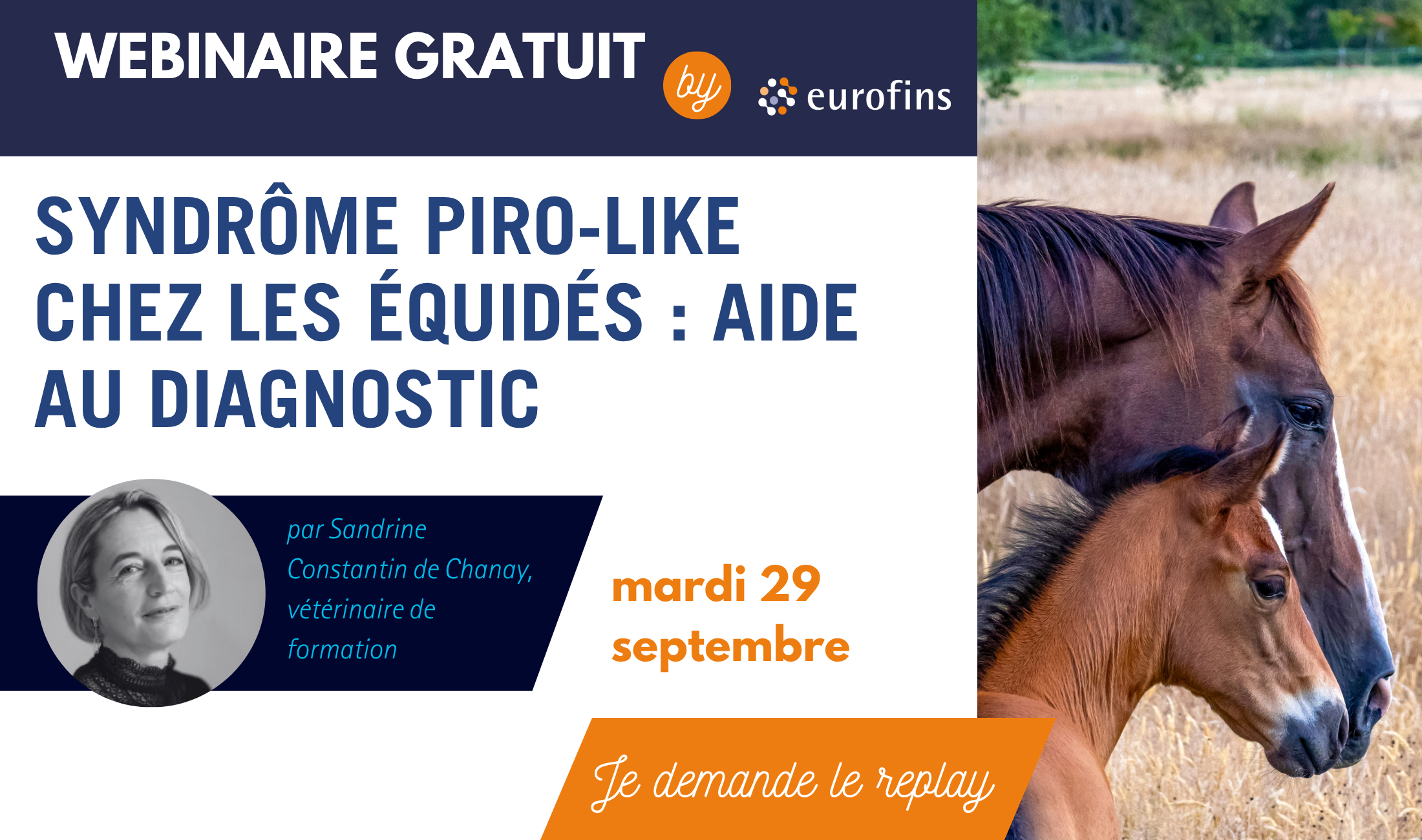 webinar-syndrôme-piro-like