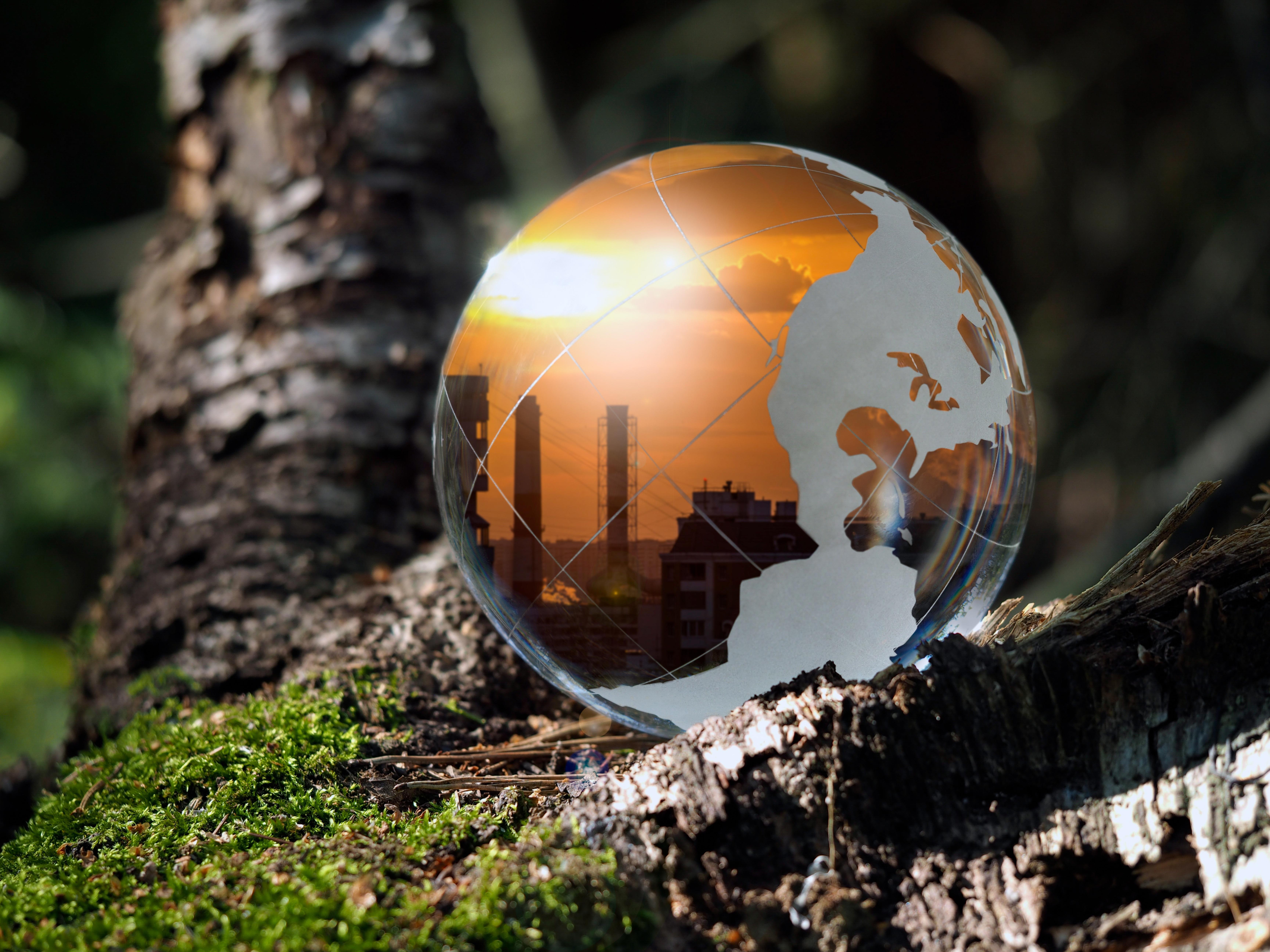 transparent-ball-representing-the-world-in-the-green-forest_6912-x-5184-px