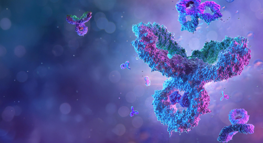 banner-central-lab