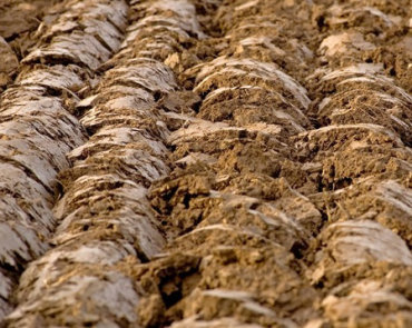 agro-soil