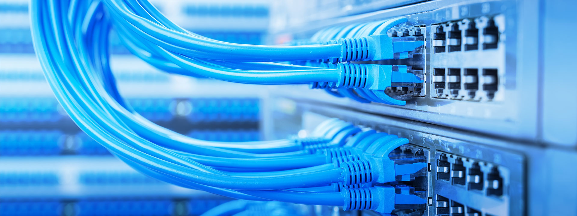 header-network