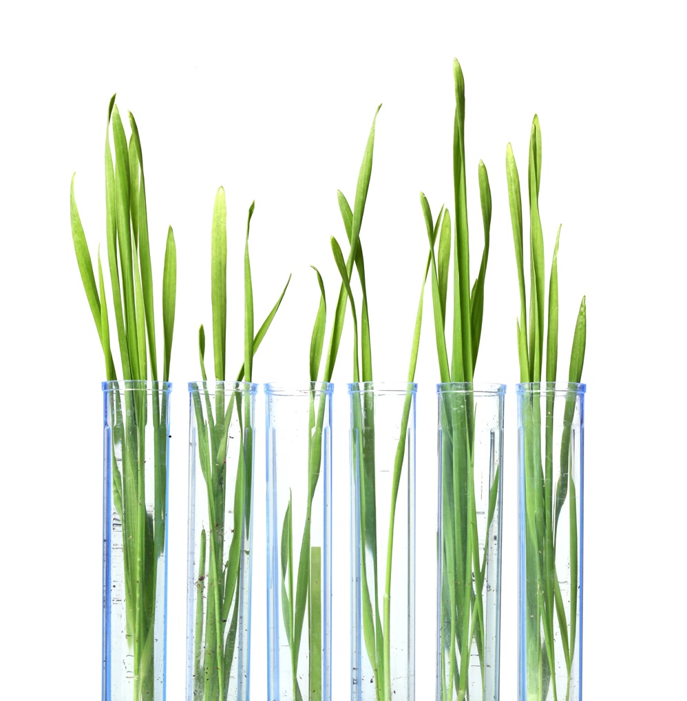 pc-careers-banner-2