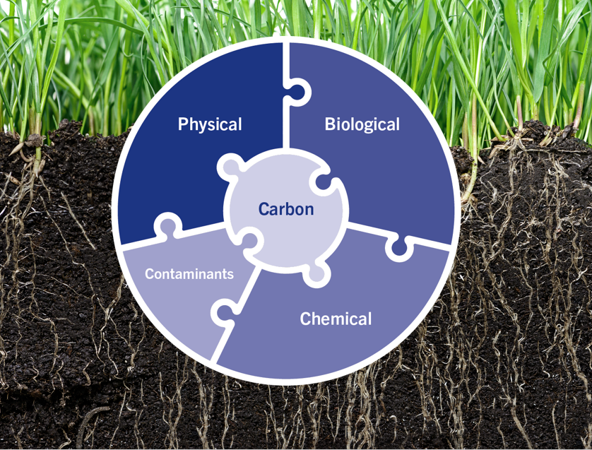 agro-soil-with-puzzle-shs