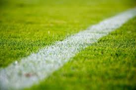 agro-sportveld-gras-white-line