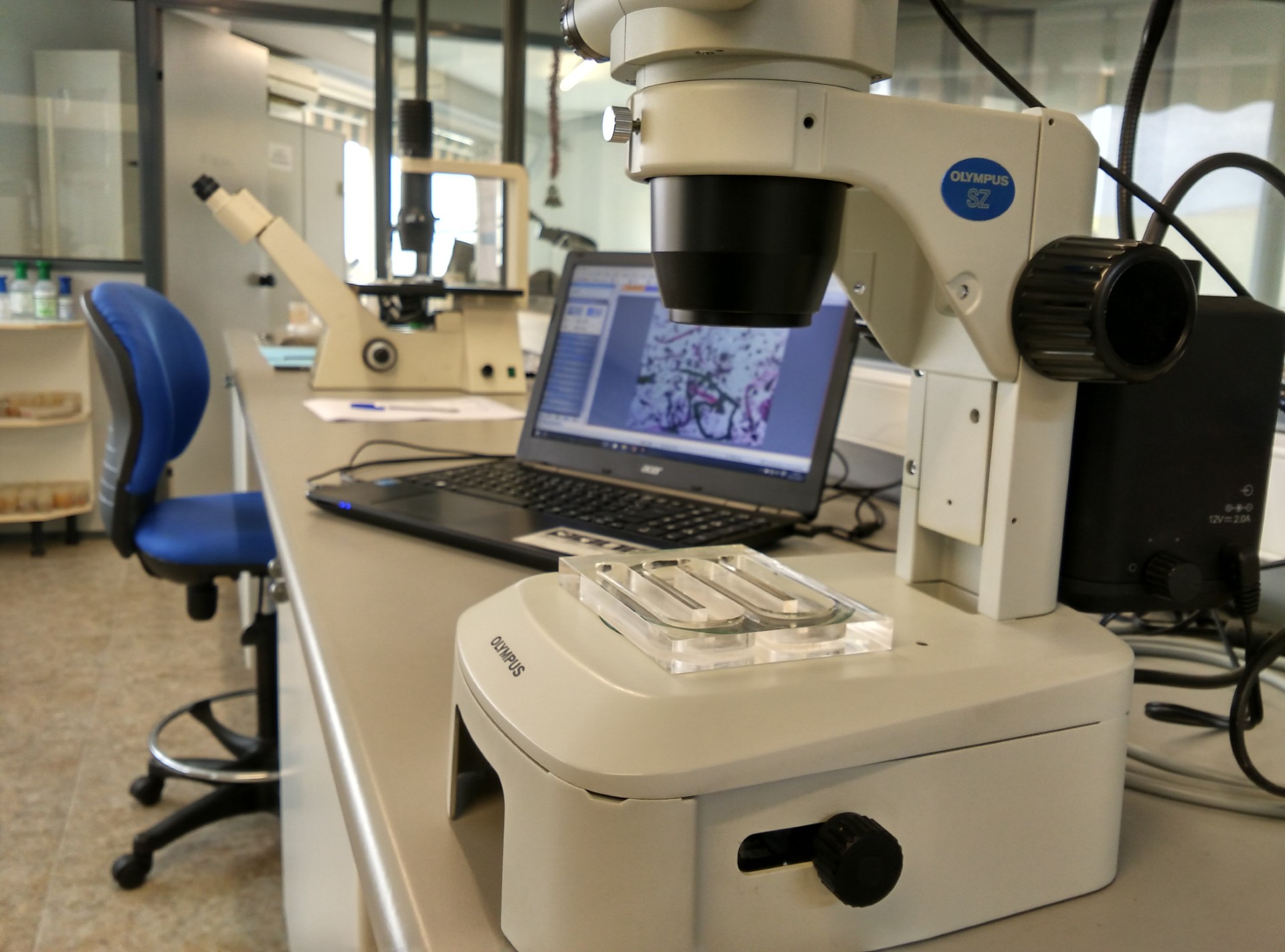laboratorio-biología-marina