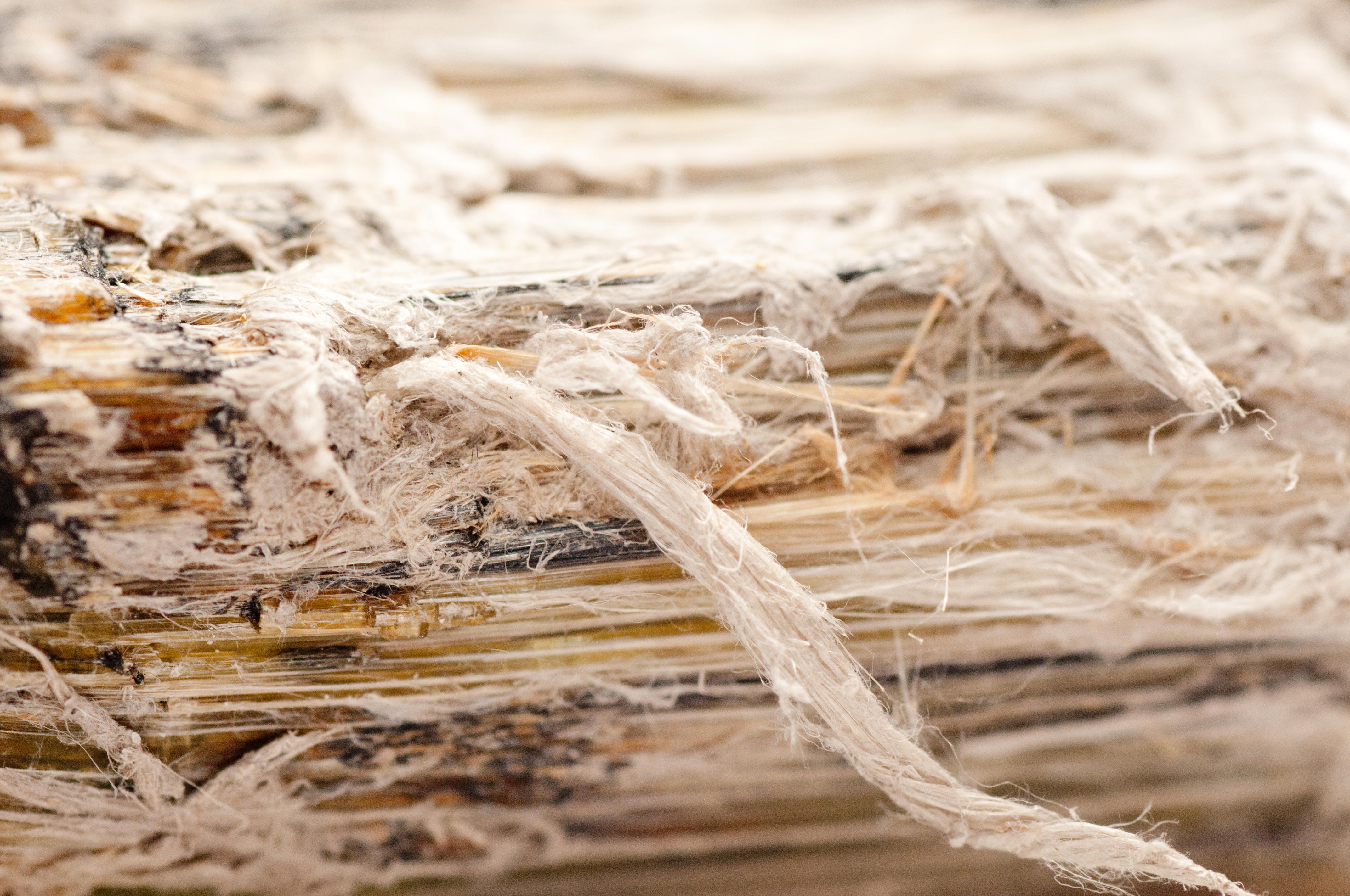 asbestos-chrysotile-fibers-that-cause-lung-disease-copd-lung-cancer-mesothelioma-xxl_4288x2848px