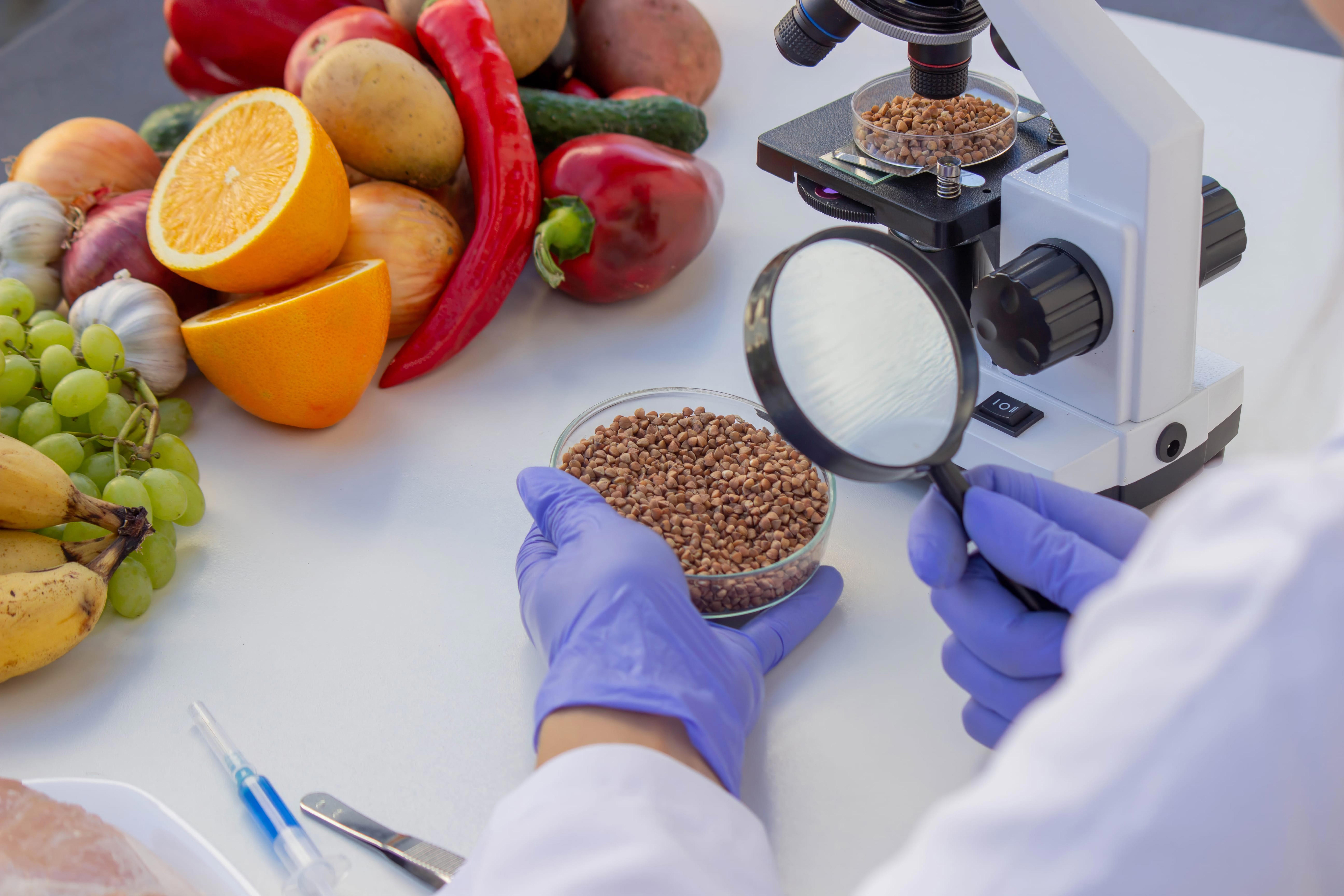 laboratory-grain-quality-control-analyzing-buckwheat-with-magnifier-and-microscope_7776-x-5184px