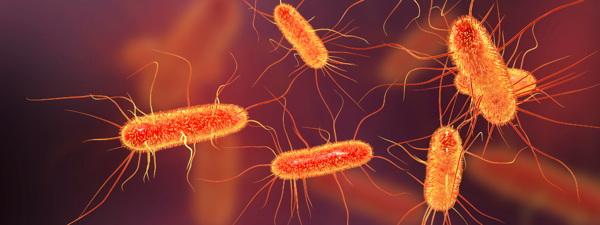 e-coli-testing-banner