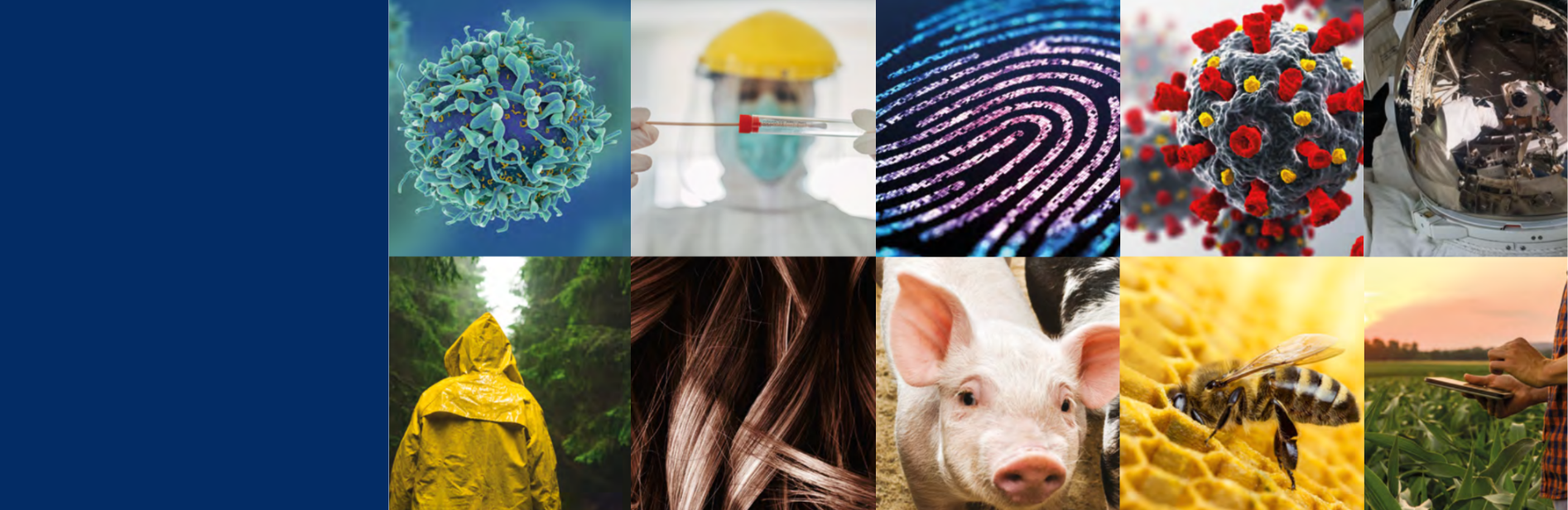 banners-innovation-pages