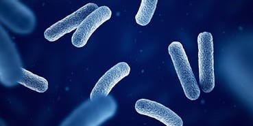 e-learning-listeria-beheersen (1)