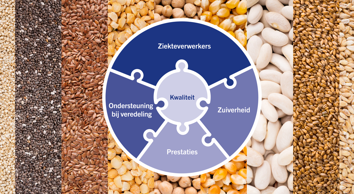 afbeelding-puzzel-zaden (5)