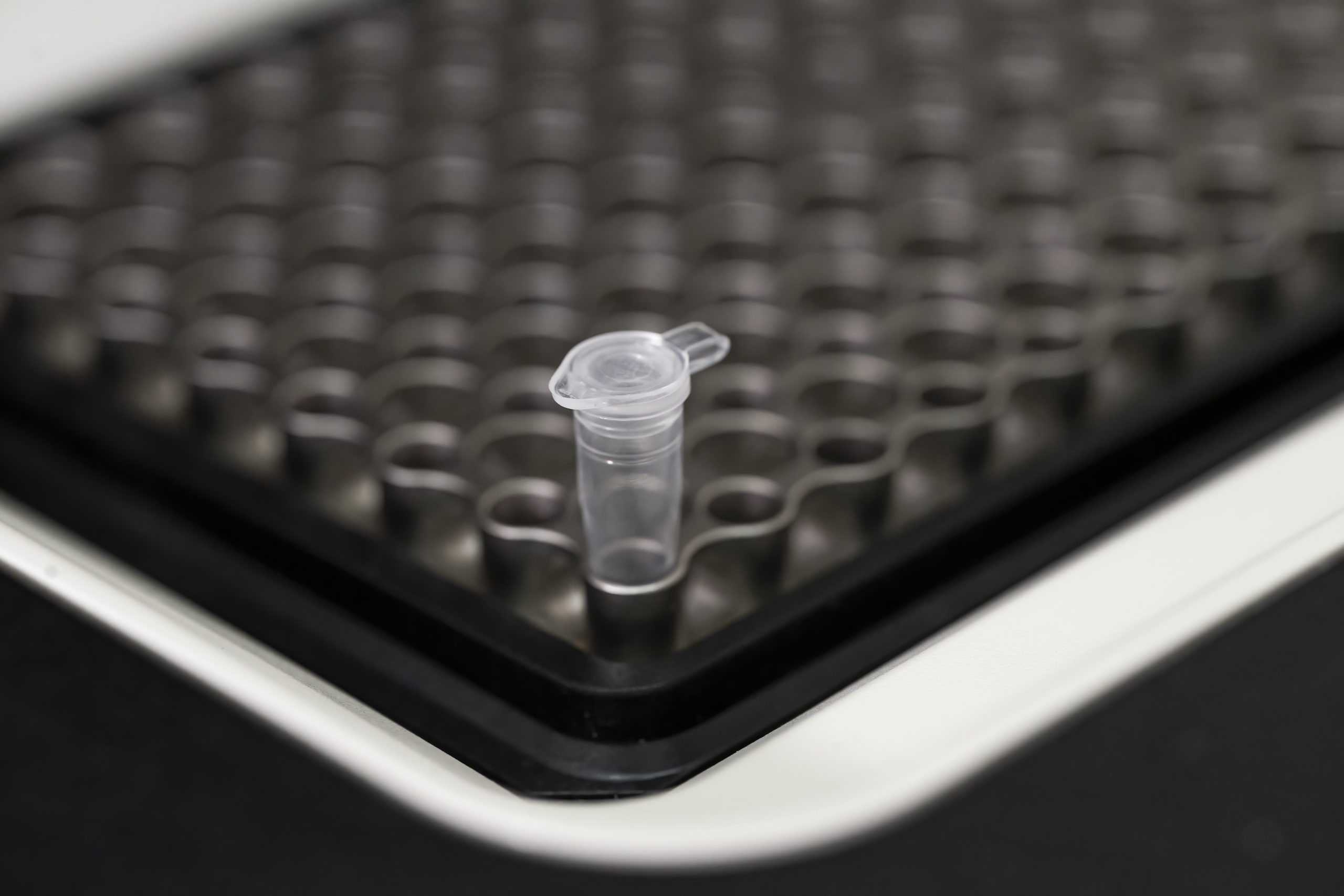 control-legionella-pcr