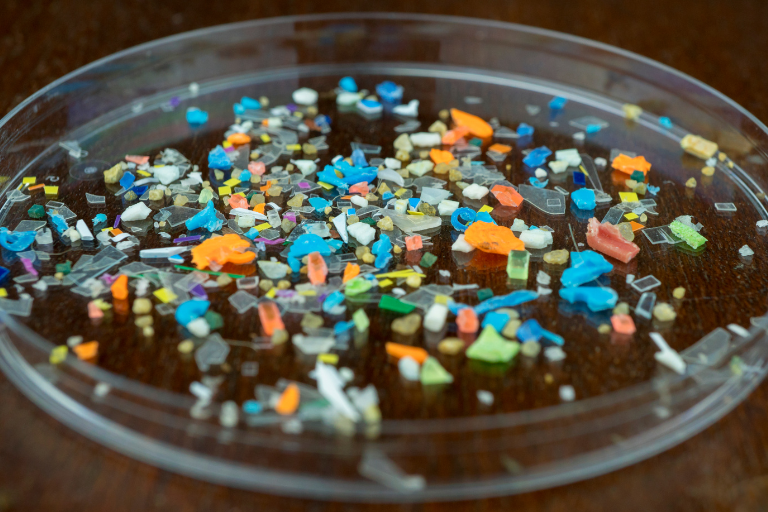 microplastiques