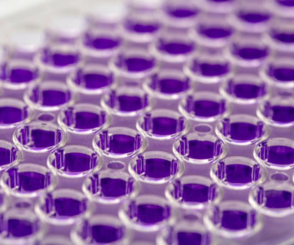 pcr-plate-1
