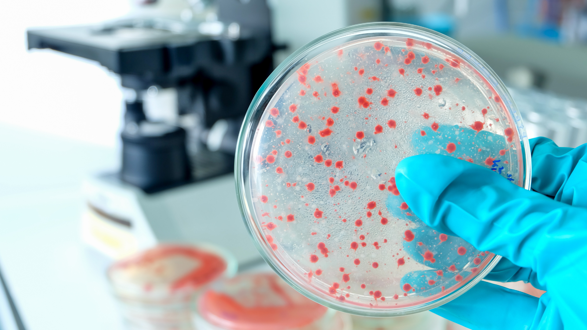 image-menu-microbiology