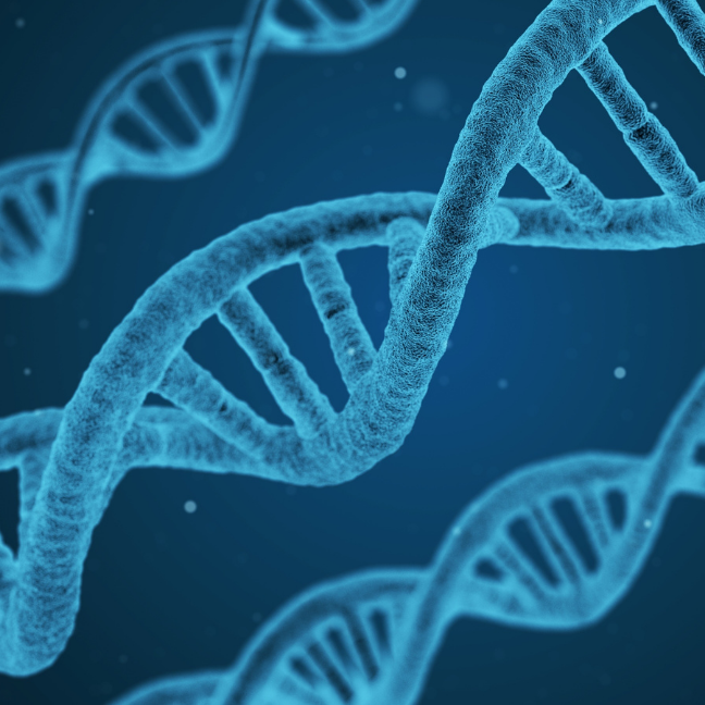genotypage