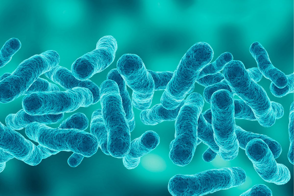 análise-de-legionella