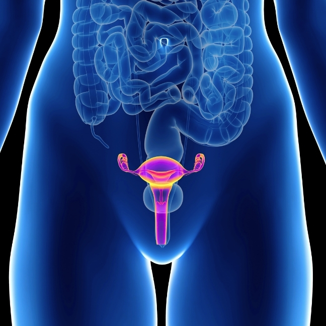 gynaecology-tile