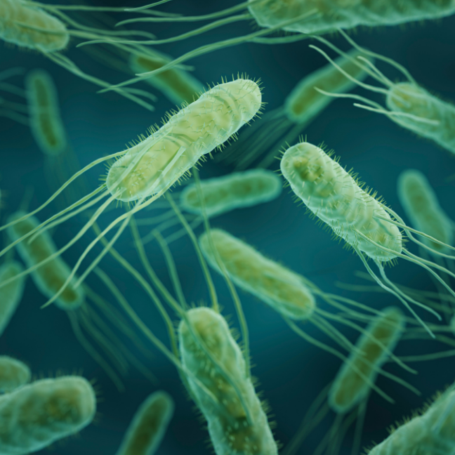 microbiologia (1)