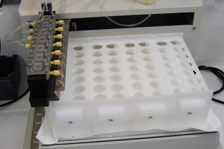 bronaugh_cells