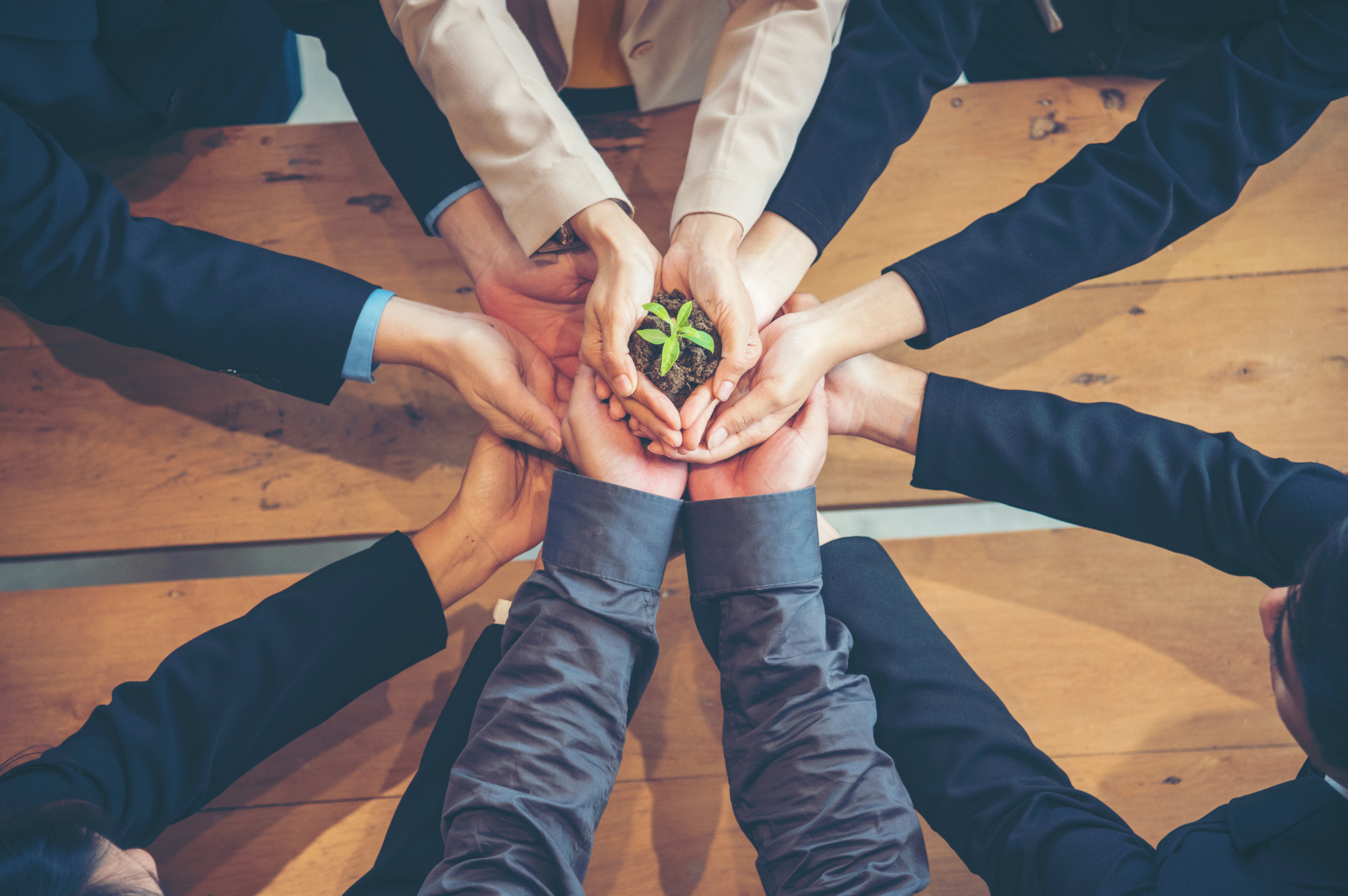 green-business-meeting-united-partners-team-with-hands-together-holding-plant-green-trusted-friends