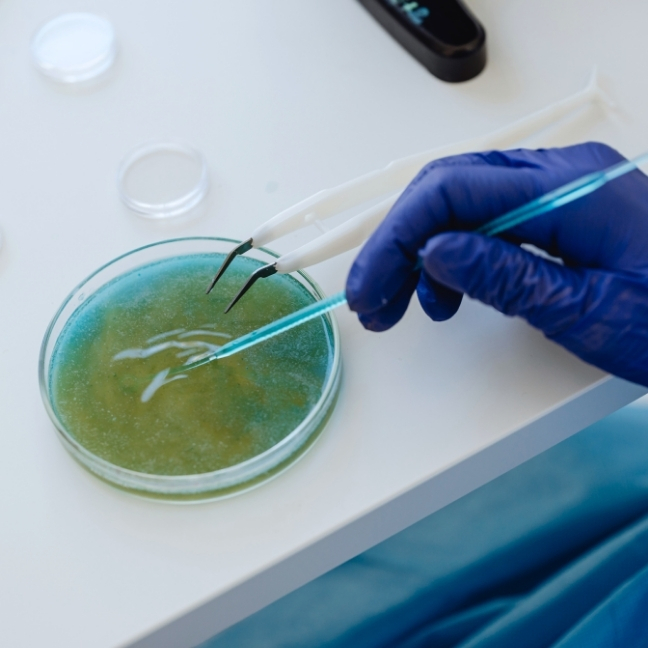 mycobacteria-tile